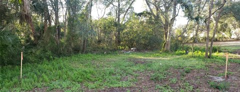 Land, APOPKA, FL
