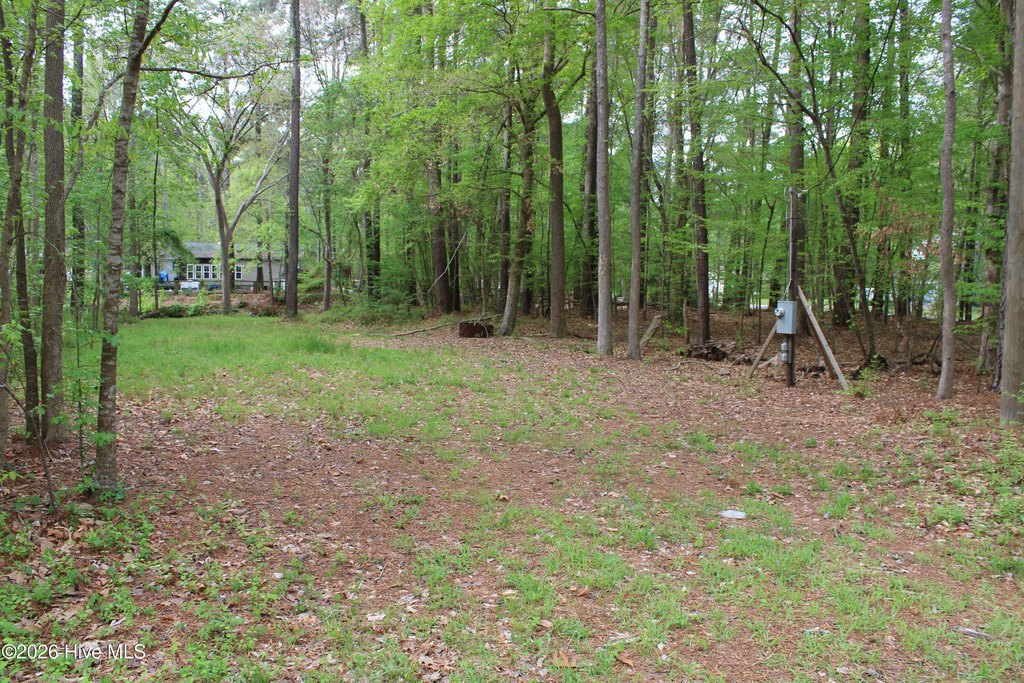 Picture 51