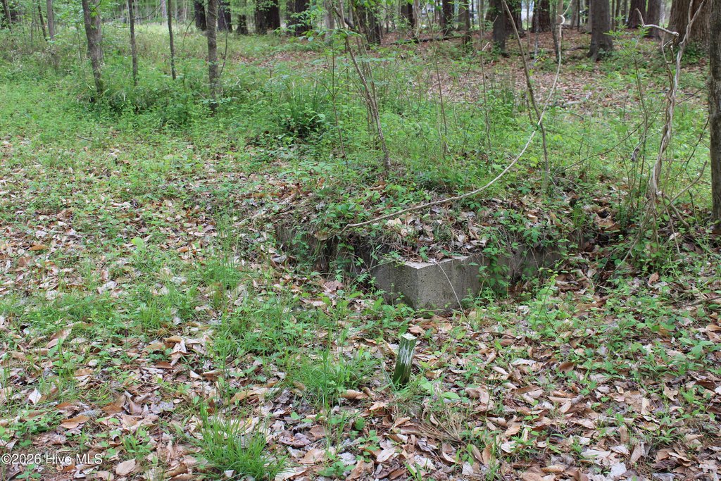 Picture 45