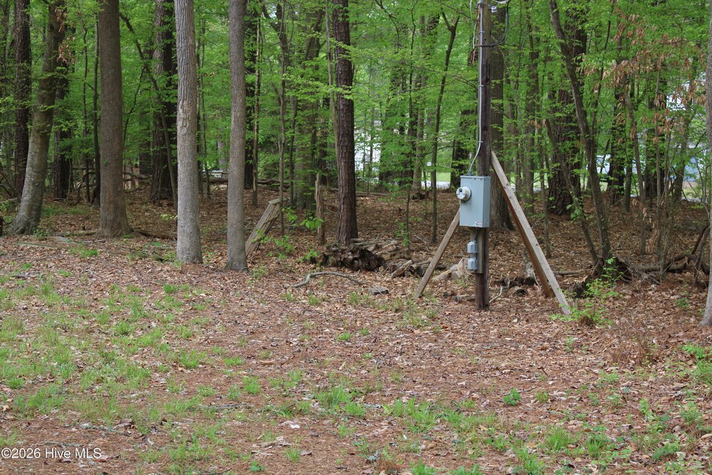Picture 52