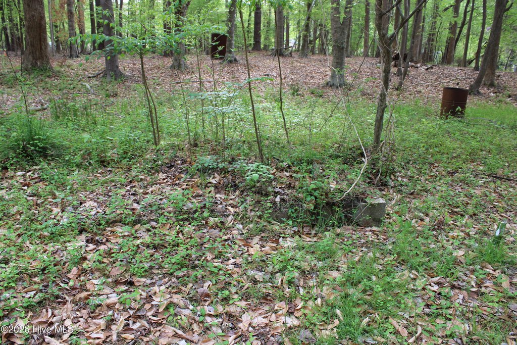 Picture 44