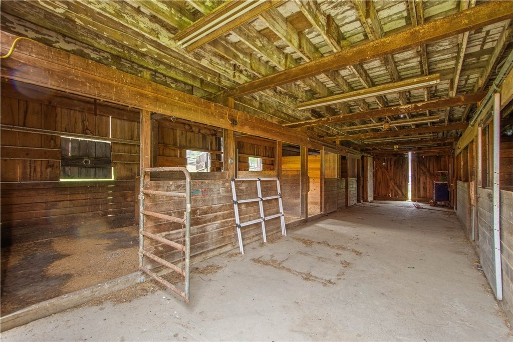Picture 41