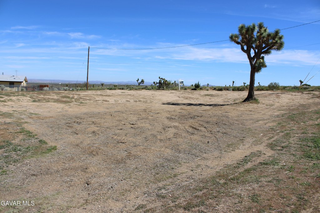 Picture 16