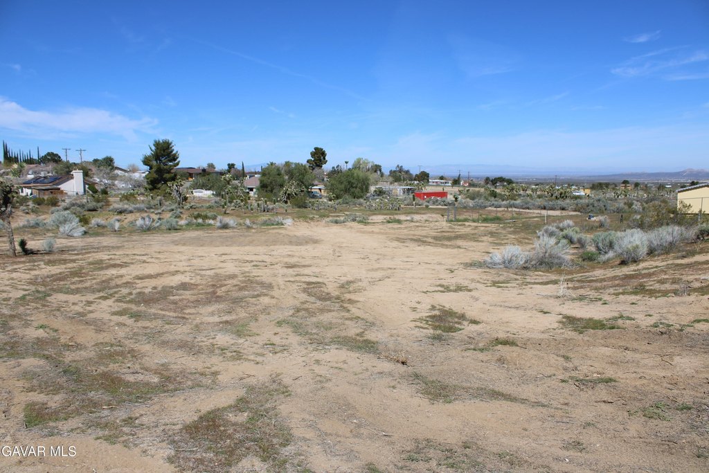 Picture 20