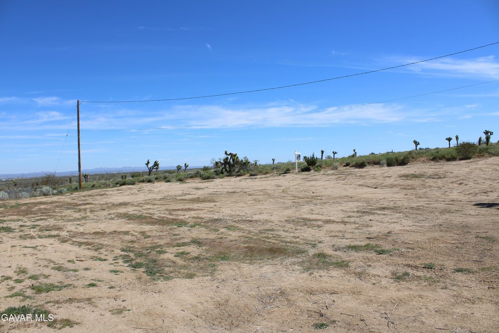 Picture 28