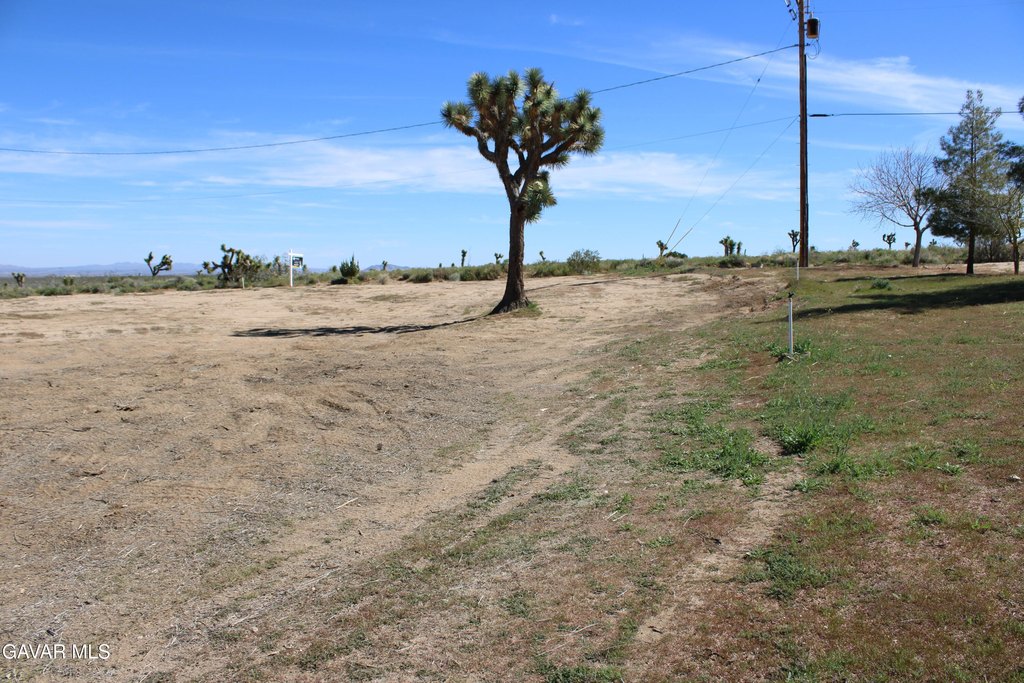 Picture 18