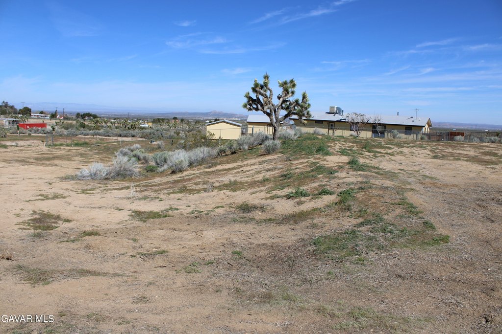Picture 19