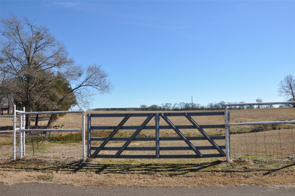 Picture 15
