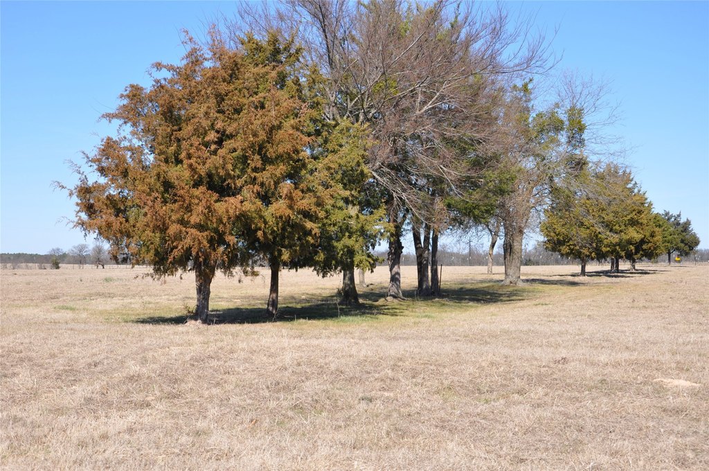 Picture 8
