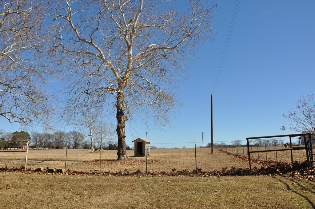 Picture 14