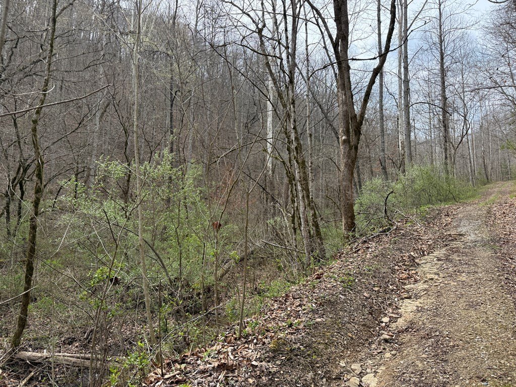 Picture 15