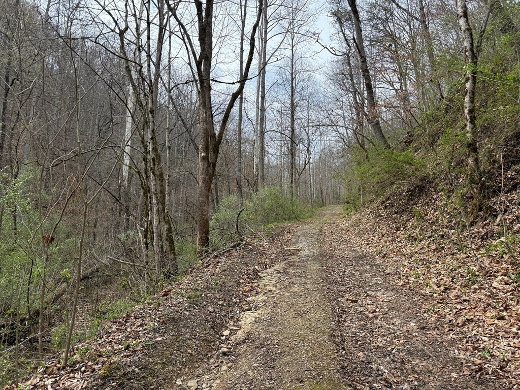 Picture 14