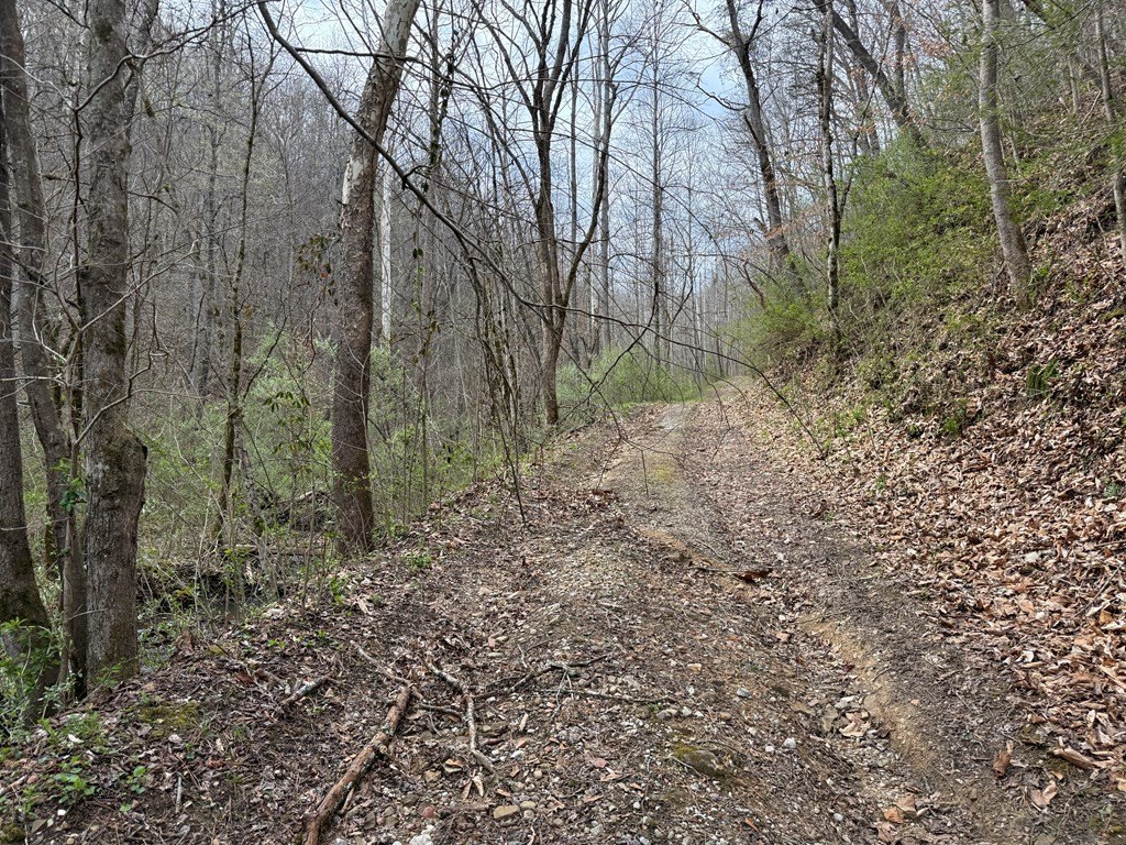 Picture 16