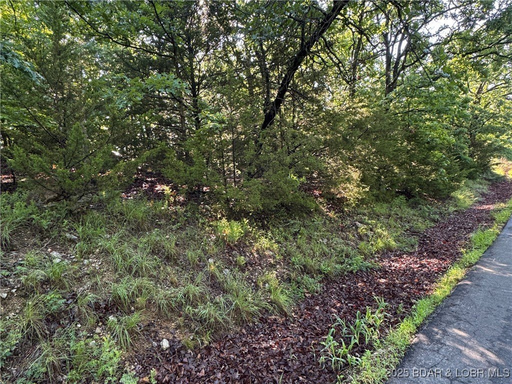 Residential Land in Linn Creek