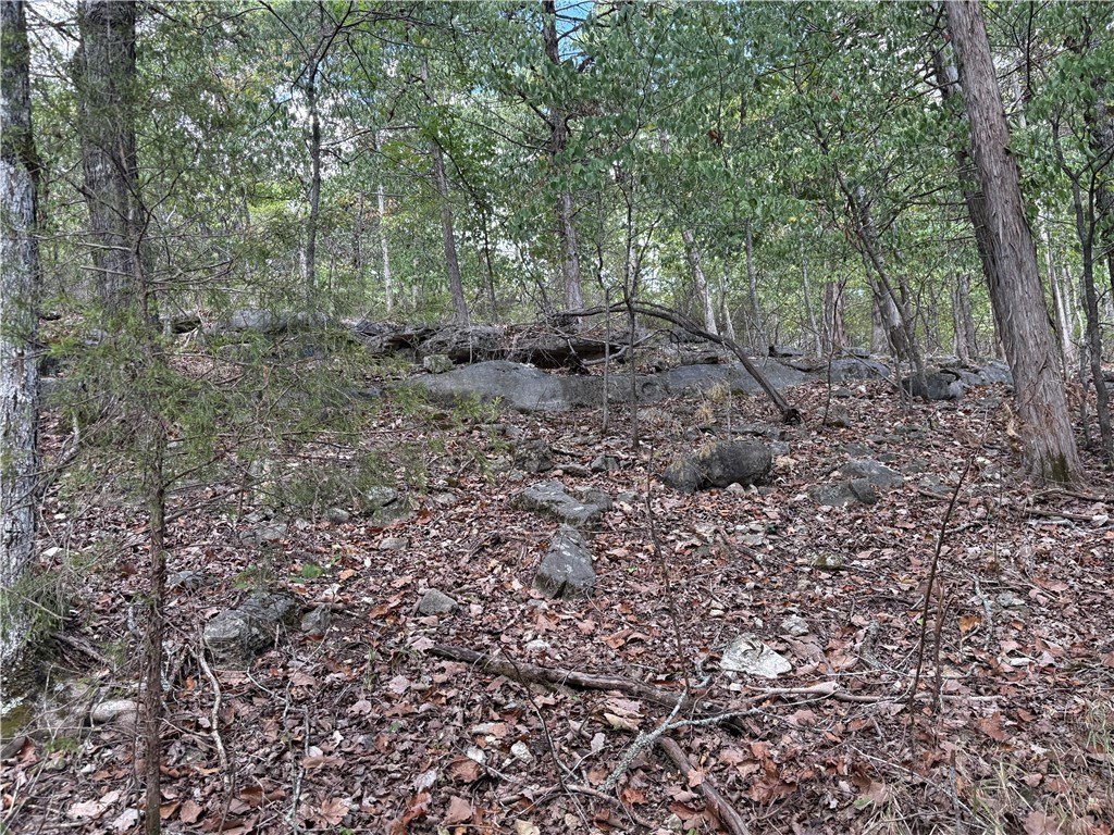 Picture 27