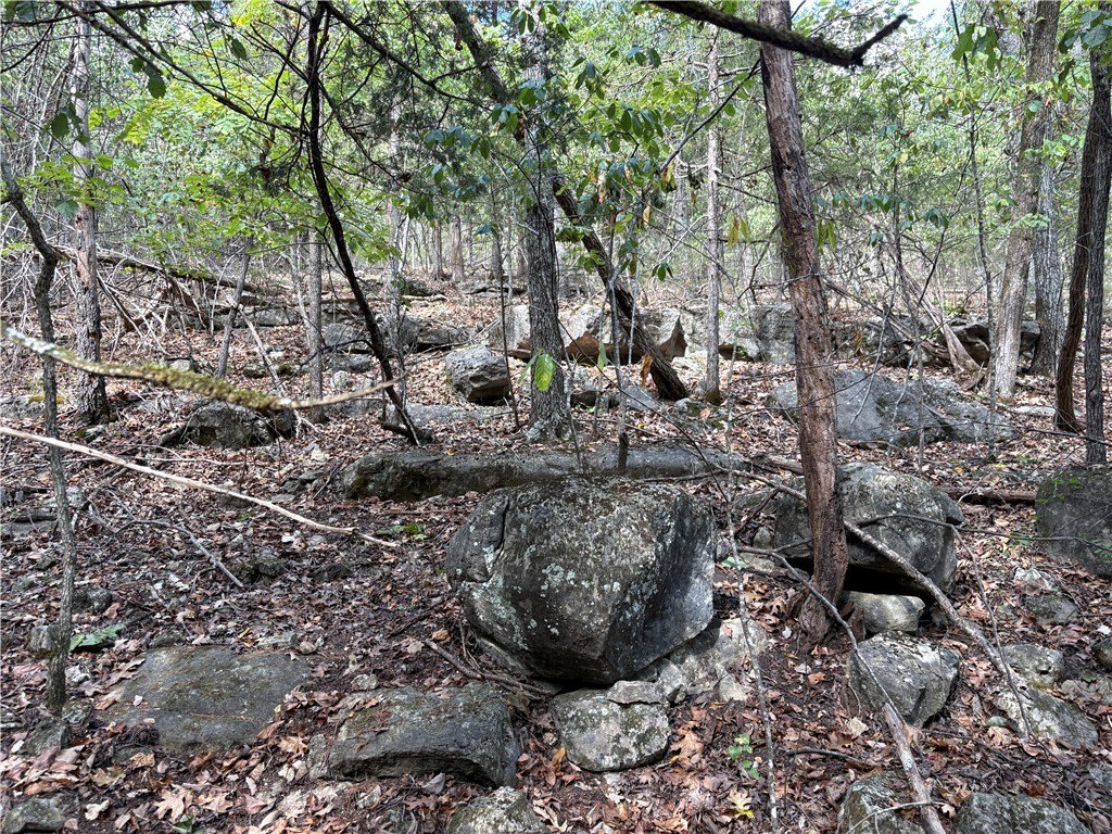 Picture 22