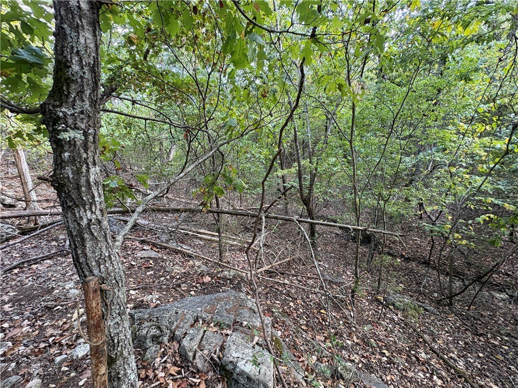 Picture 19