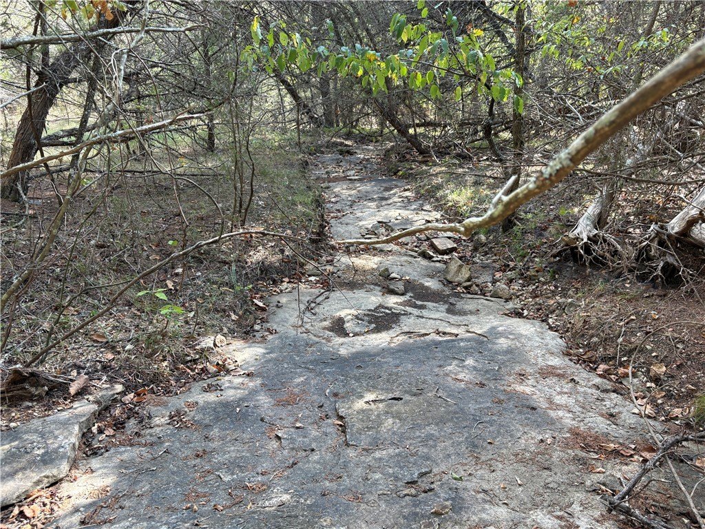 Picture 42