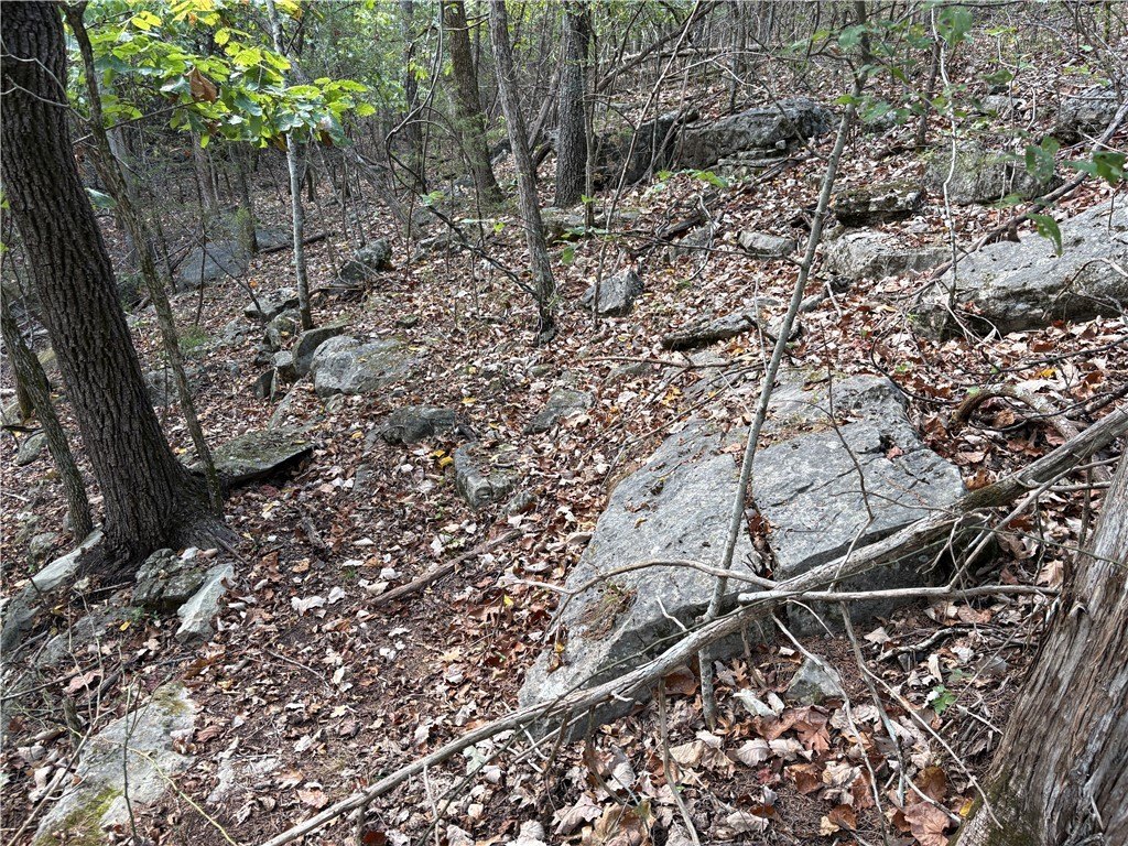 Picture 18