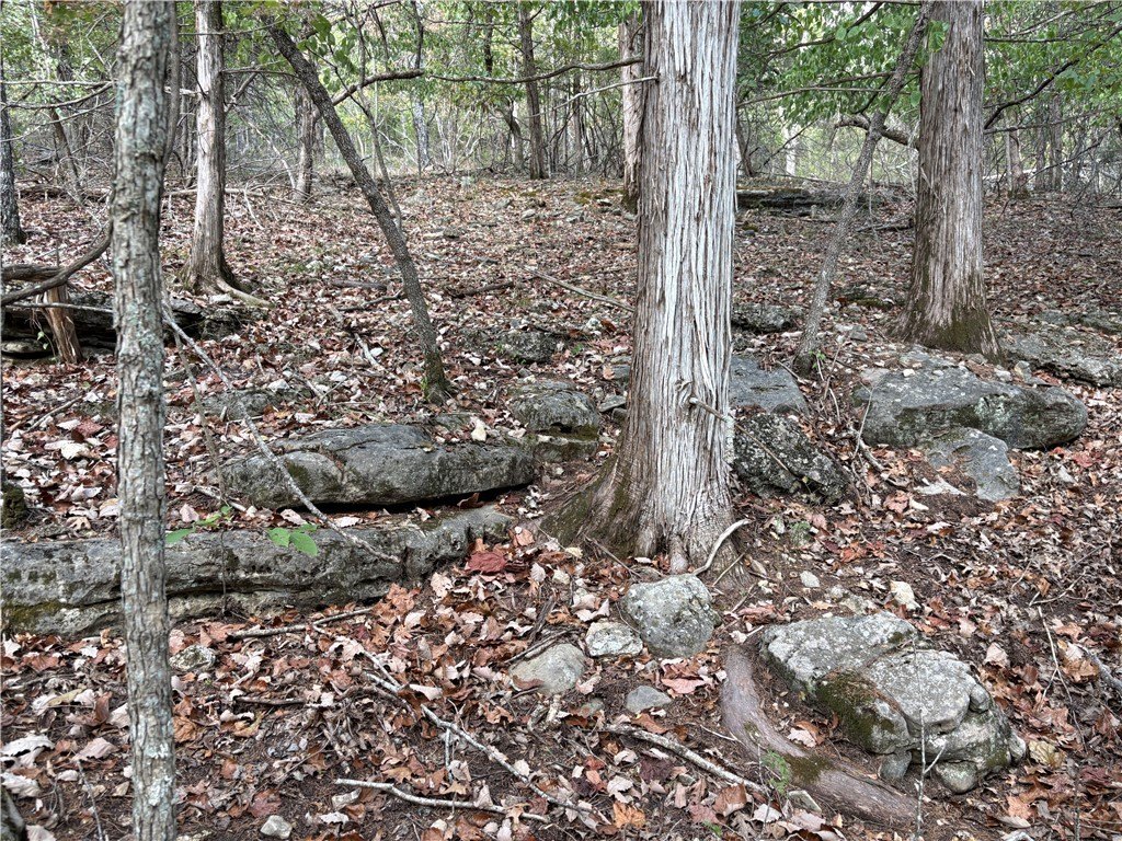 Picture 17