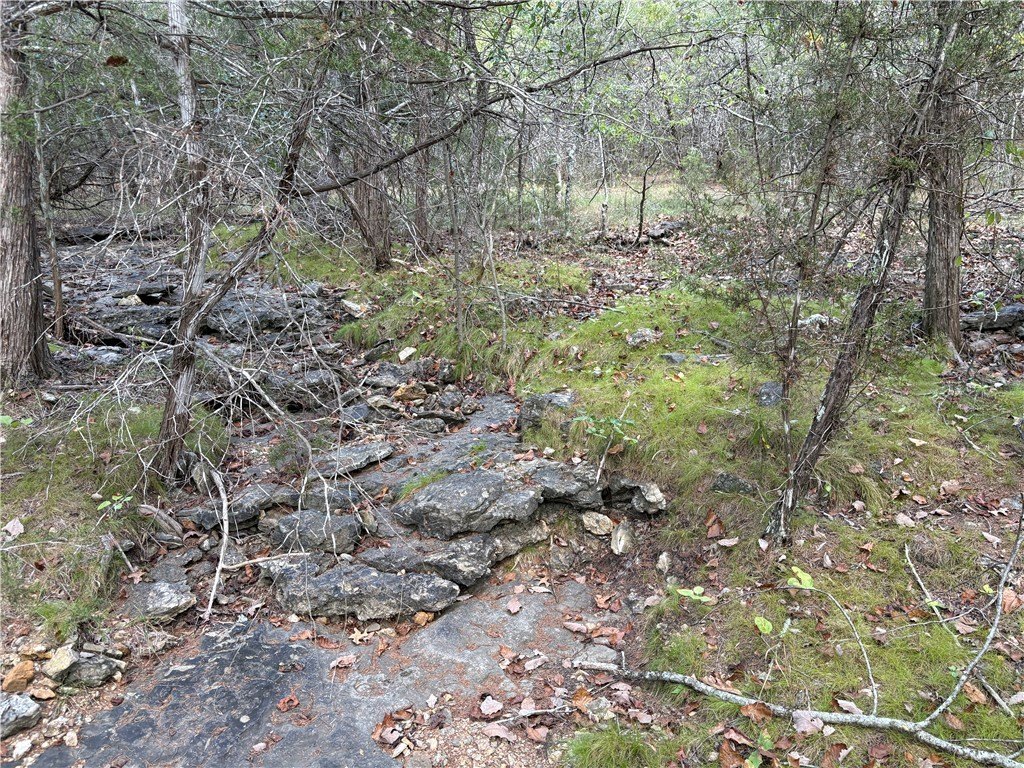 Picture 41