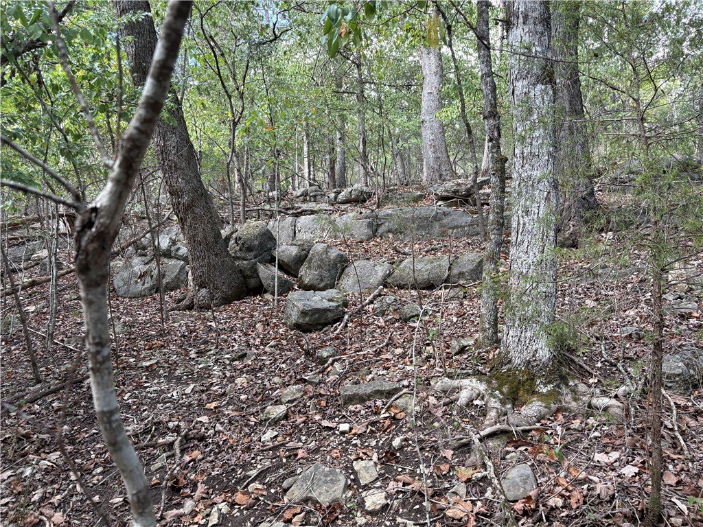 Picture 26