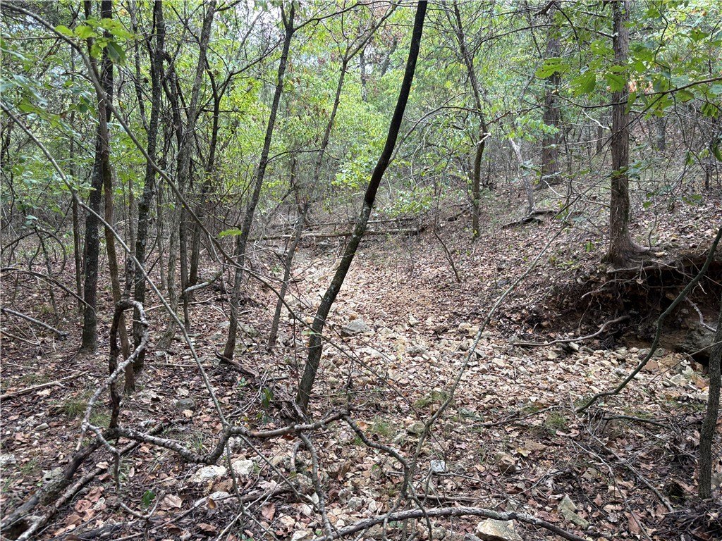 Picture 39