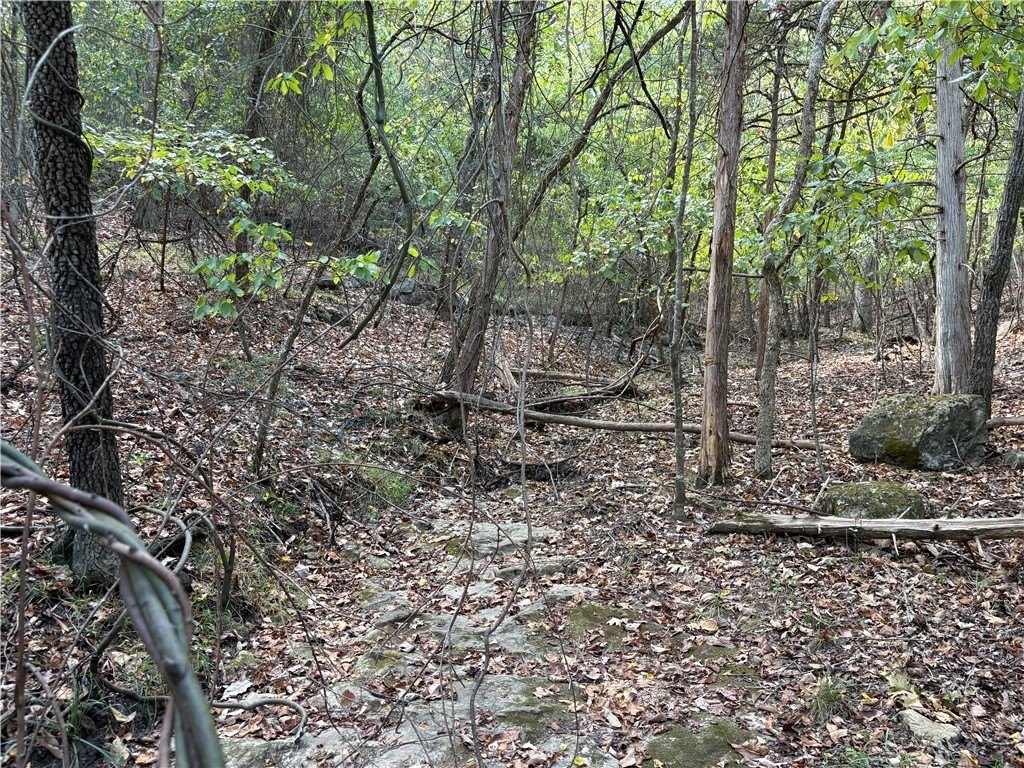 Picture 21