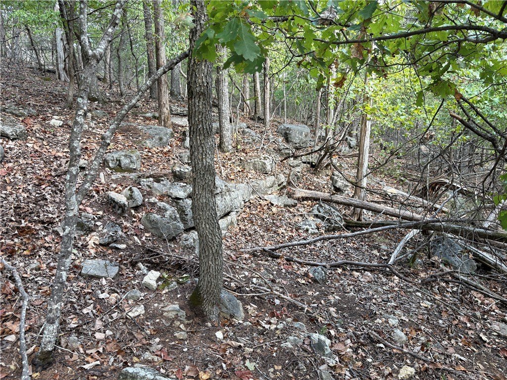 Picture 16