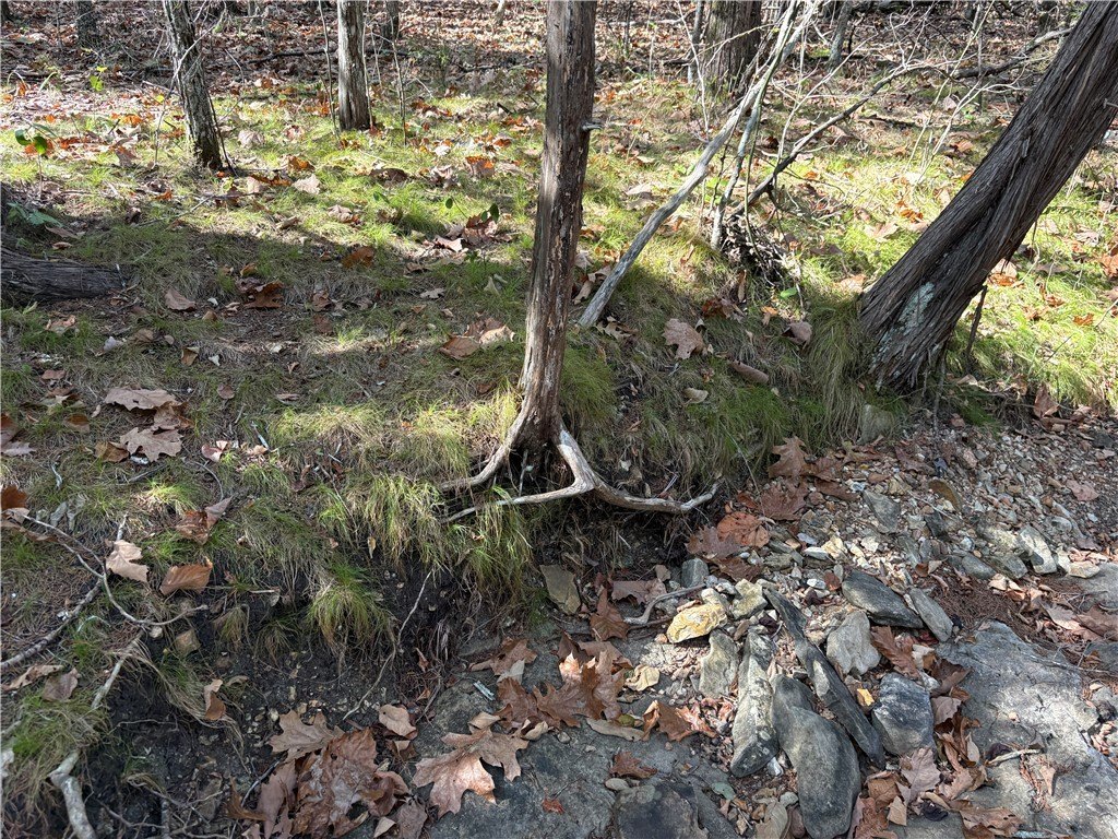 Picture 43