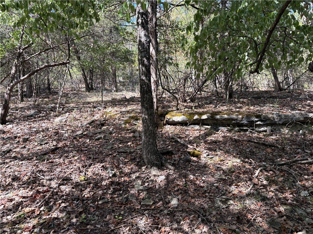 Picture 15
