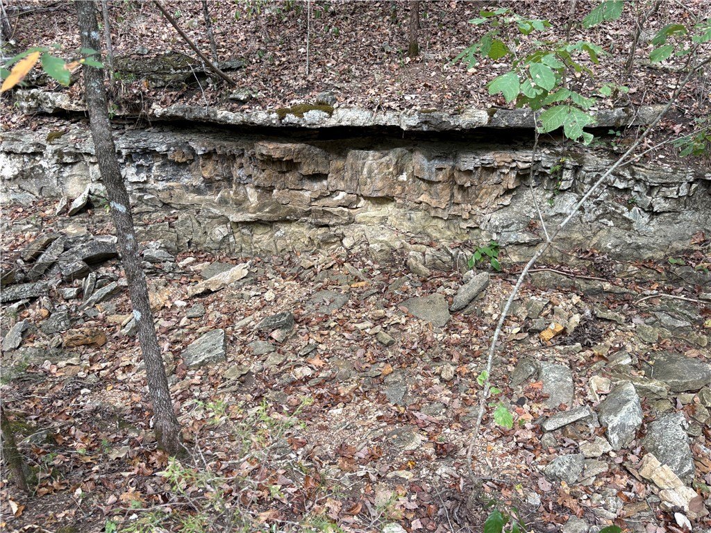 Picture 37