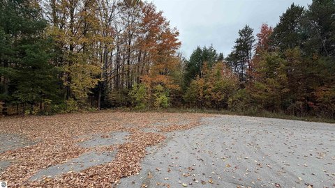 Wooded Lot in Buckley, Michigan