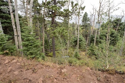 Land, Fort Garland, CO