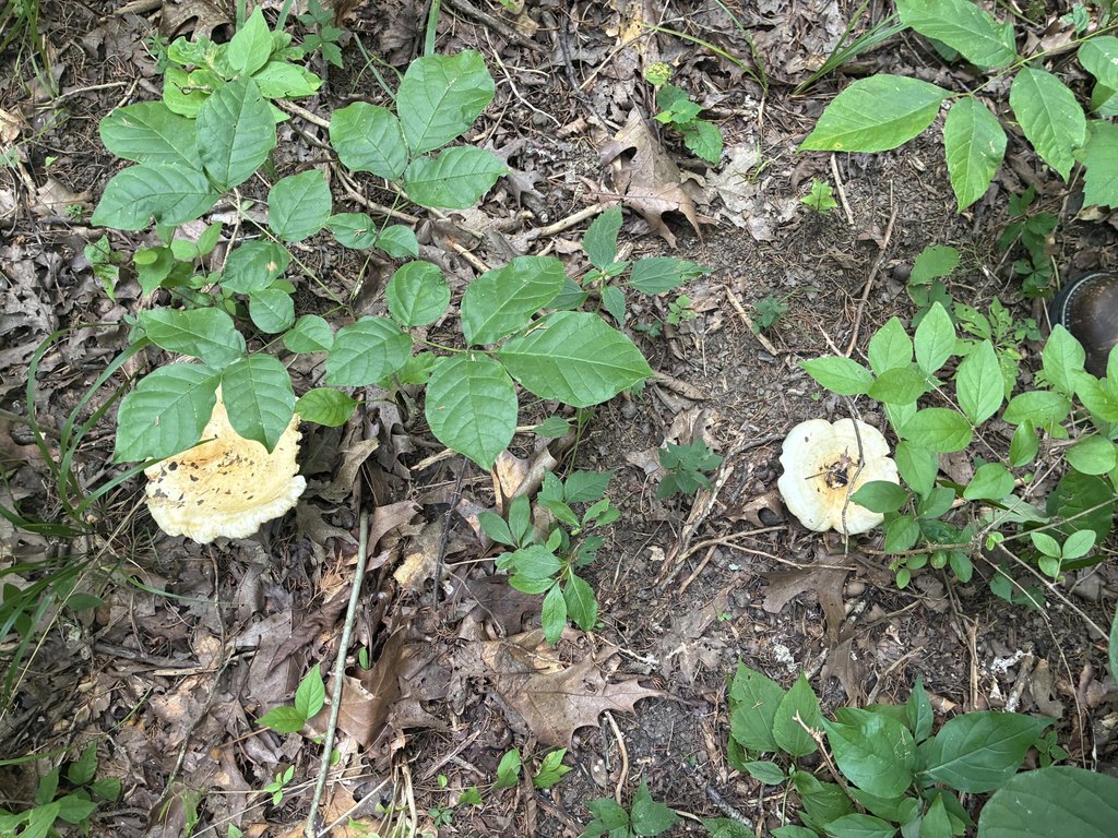 Picture 14