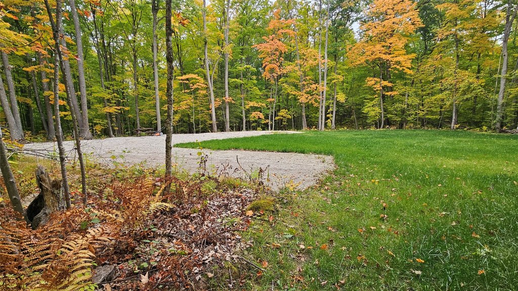 Picture 8