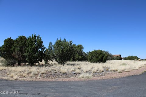 Residential Land in Show Low