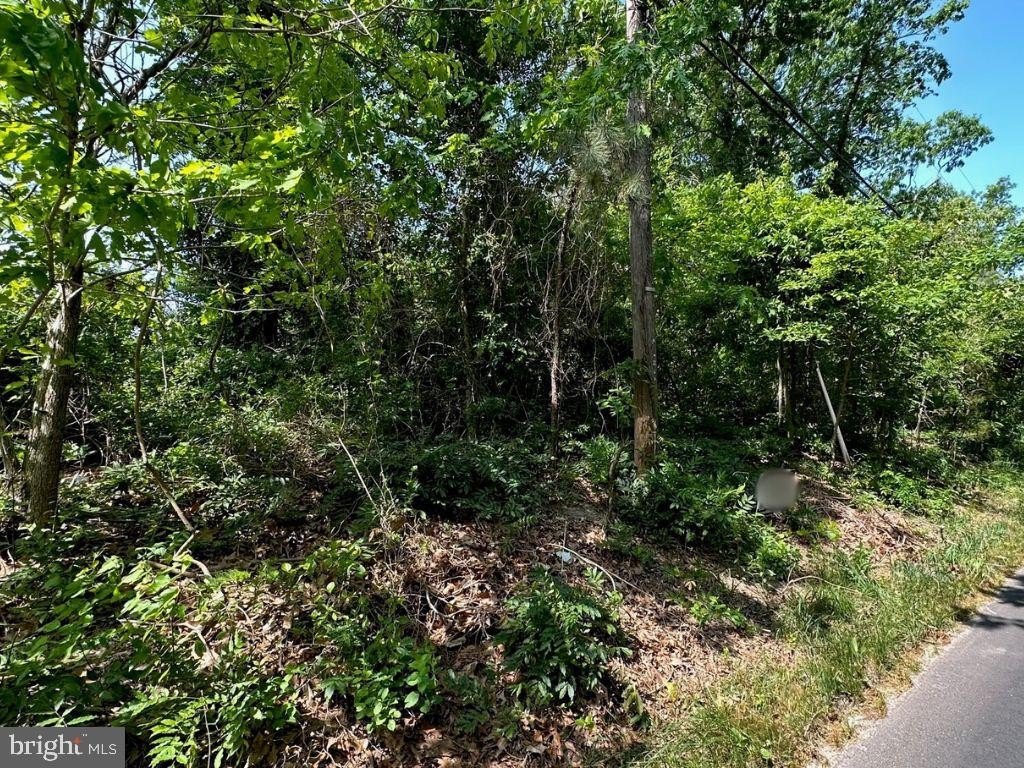 Vacant Land in Williamstown, NJ