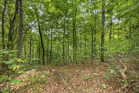Land, Celina, TN