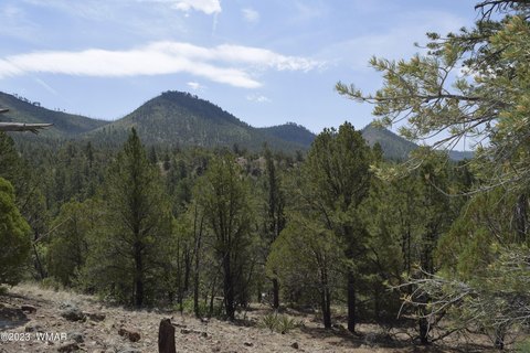 Land with Amazing Views