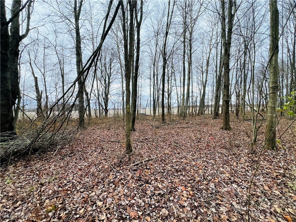 Kinsman, OH Buildable Land