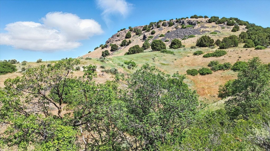 Picture 20