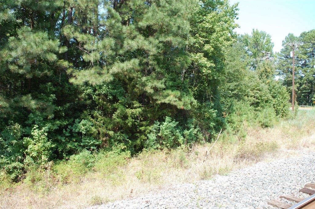 Picture 10