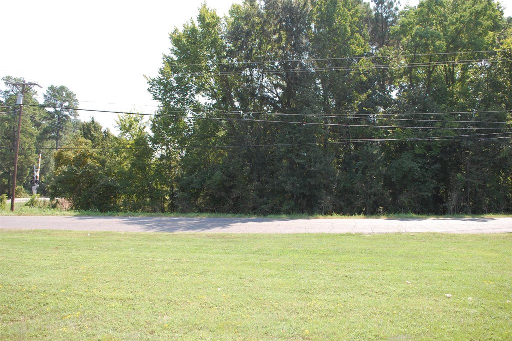 Picture 8