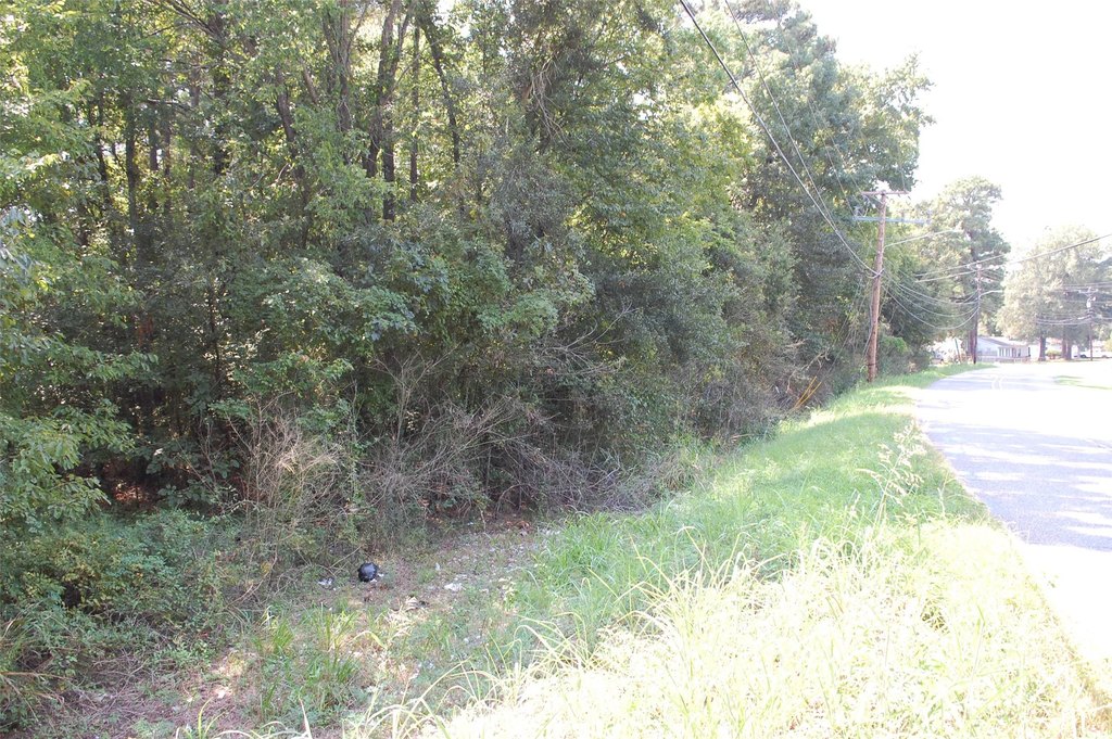 Picture 9