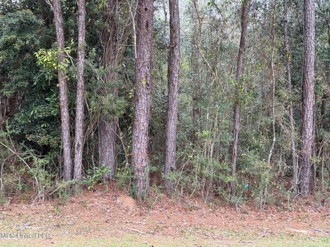 Diamondhead, MS Building Lot