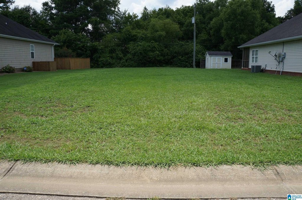 Picture 4