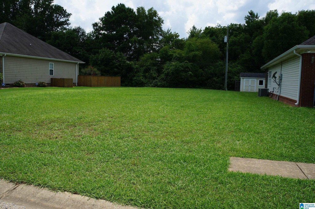 Picture 3