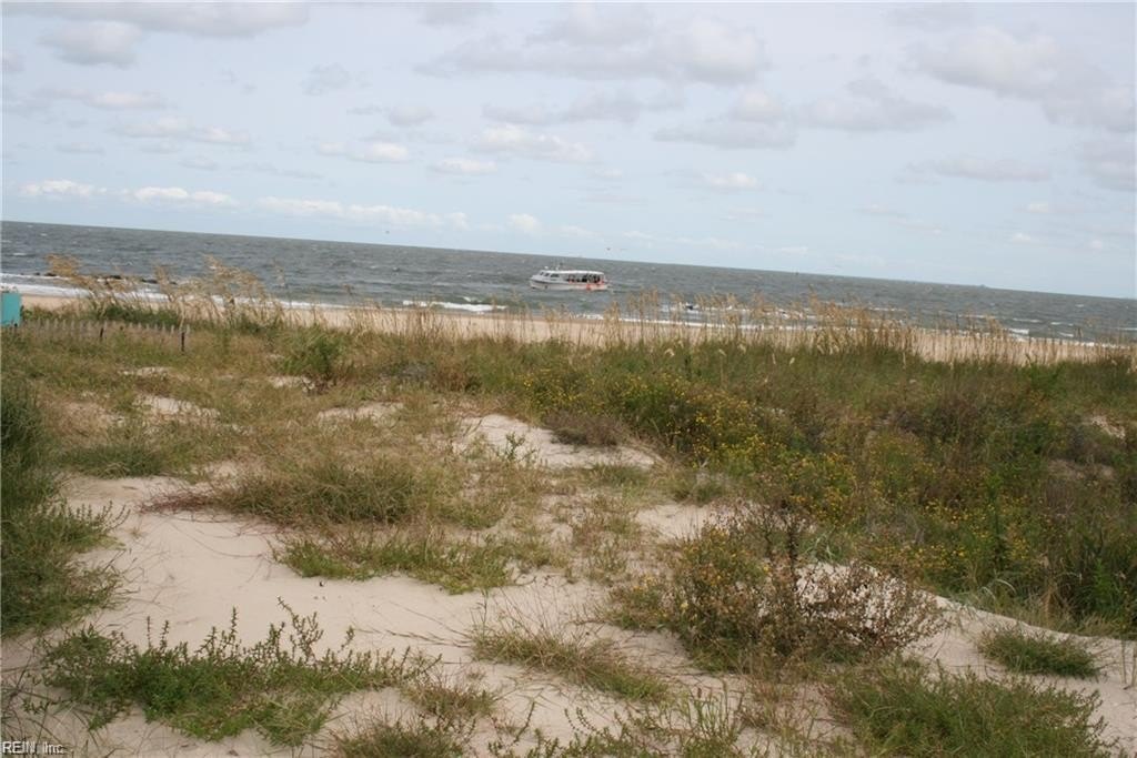 Picture 5