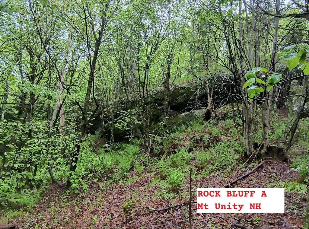 Picture 27